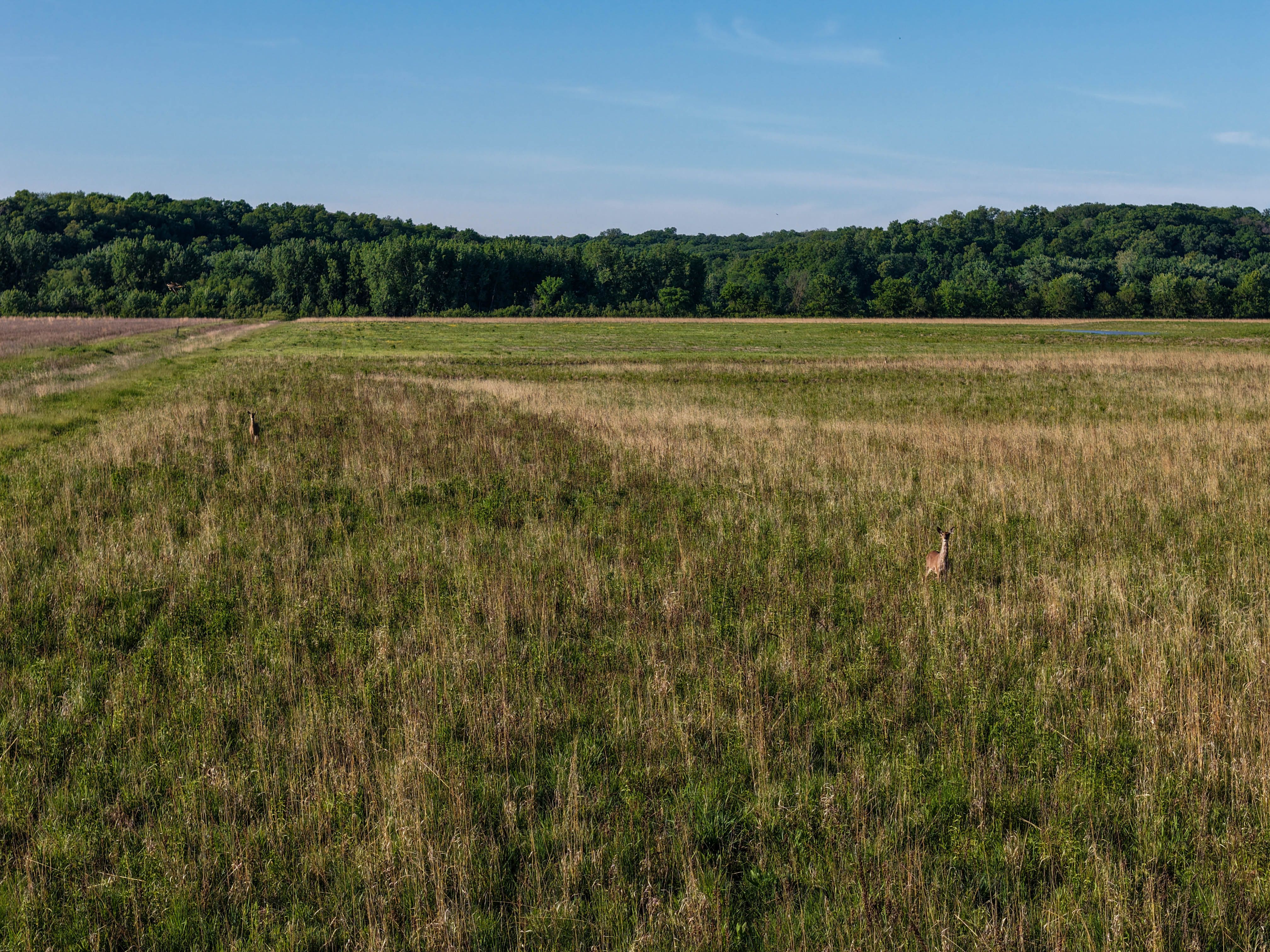 Listing Photo: Washington County Iowa Combination Farm For Sale-31